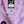 SplashMagic Rainshell - Periwinkle | Dragonfly