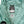 SplashMagic Rainshell - Seafoam | Insect Explorer