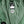 SplashMagic Storm Jacket - Forest Moss | Happy Earth