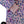 All-Weather Hoodie - Rainbow Leopard (2026)