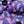Snowrider Ski Jacket - Butterfly