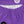Splash Pant - Violet